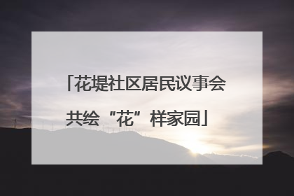 花堤社区居民议事会共绘“花”样家园