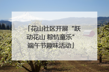 花山社区开展“跃动花山 粽情童乐”端午节趣味活动