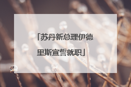 苏丹新总理伊德里斯宣誓就职