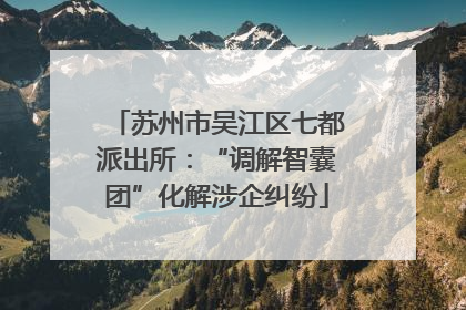 苏州市吴江区七都派出所：“调解智囊团”化解涉企纠纷