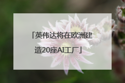 英伟达将在欧洲建造20座AI工厂