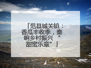 范县城关镇：香瓜丰收季，奏响乡村振兴 “甜蜜乐章”
