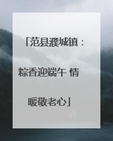 范县濮城镇：粽香迎端午 情暖敬老心