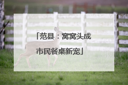 范县：窝窝头成市民餐桌新宠