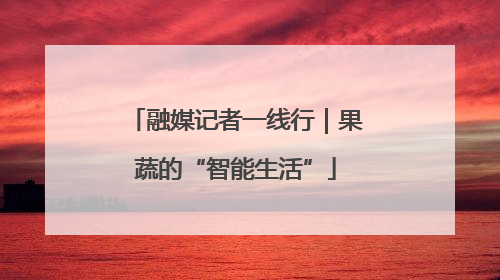 融媒记者一线行｜果蔬的“智能生活”