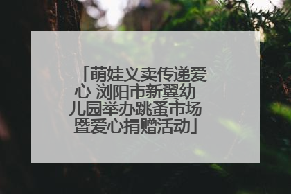 萌娃义卖传递爱心 浏阳市新翼幼儿园举办跳蚤市场暨爱心捐赠活动