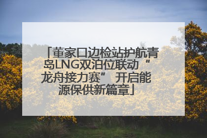 董家口边检站护航青岛LNG双泊位联动“龙舟接力赛” 开启能源保供新篇章