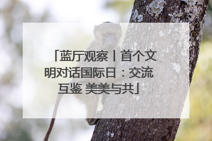 蓝厅观察丨首个文明对话国际日：交流互鉴 美美与共