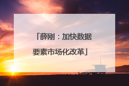 薛刚：加快数据要素市场化改革