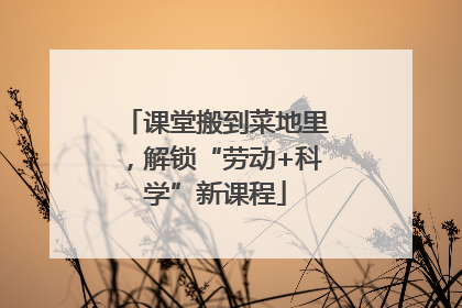 课堂搬到菜地里，解锁“劳动+科学”新课程