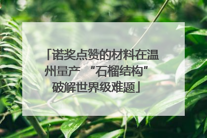 诺奖点赞的材料在温州量产 “石榴结构”破解世界级难题