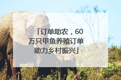 订单助农，60万只甲鱼养殖订单助力乡村振兴
