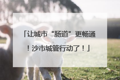 让城市“肠道”更畅通！沙市城管行动了！