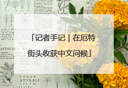 记者手记｜在厄特街头收获中文问候