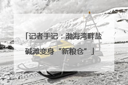 记者手记：渤海湾畔盐碱滩变身“新粮仓”