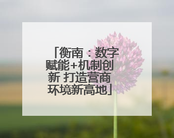 衡南：数字赋能+机制创新 打造营商环境新高地