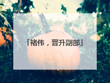 褚伟，晋升副部