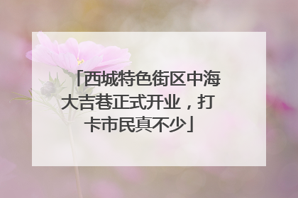 西城特色街区中海大吉巷正式开业，打卡市民真不少