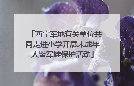 西宁军地有关单位共同走进小学开展未成年人暨军娃保护活动