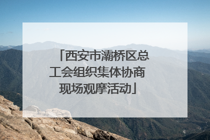 西安市灞桥区总工会组织集体协商现场观摩活动
