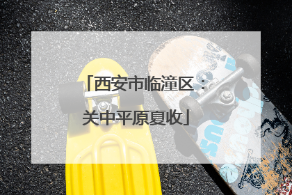 西安市临潼区：关中平原夏收