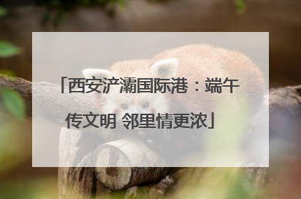 西安浐灞国际港：端午传文明 邻里情更浓