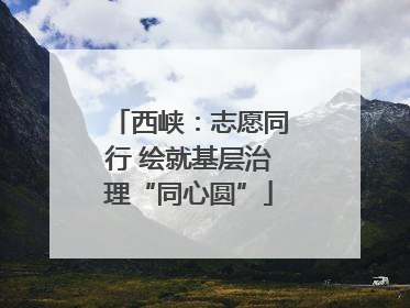 西峡：志愿同行 绘就基层治理“同心圆”