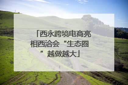 西永跨境电商亮相西洽会“生态圈”越做越大