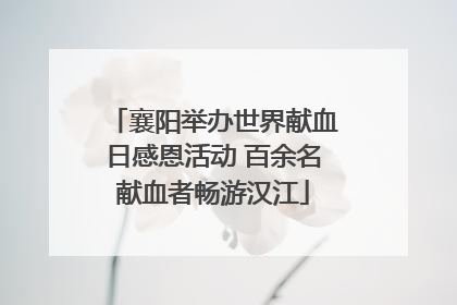 襄阳举办世界献血日感恩活动 百余名献血者畅游汉江