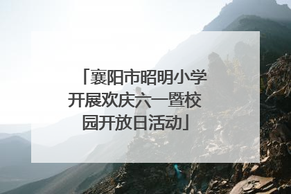 襄阳市昭明小学开展欢庆六一暨校园开放日活动