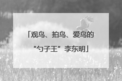 观鸟、拍鸟、爱鸟的“勺子王”李东明
