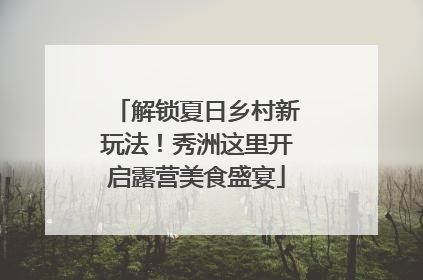 解锁夏日乡村新玩法！秀洲这里开启露营美食盛宴