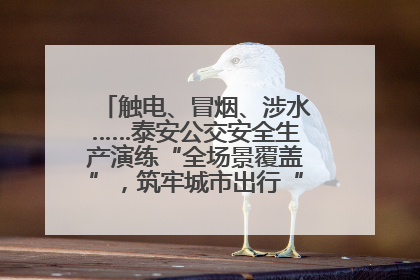触电、冒烟、涉水……泰安公交安全生产演练“全场景覆盖”，筑牢城市出行“安全生命线”