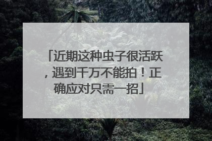 近期这种虫子很活跃，遇到千万不能拍！正确应对只需一招