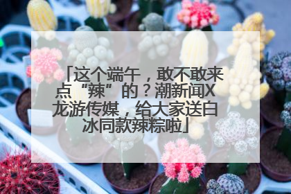 这个端午，敢不敢来点“辣”的？潮新闻X龙游传媒，给大家送白冰同款辣粽啦