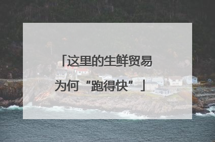 这里的生鲜贸易为何“跑得快”