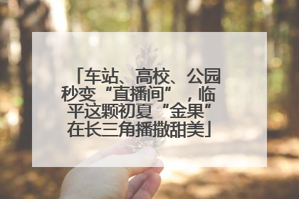 车站、高校、公园秒变“直播间”，临平这颗初夏“金果”在长三角播撒甜美