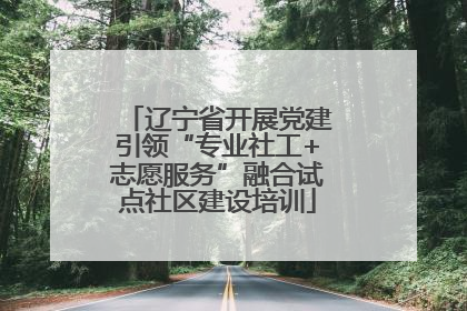 辽宁省开展党建引领“专业社工+志愿服务”融合试点社区建设培训