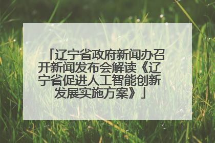辽宁省政府新闻办召开新闻发布会解读《辽宁省促进人工智能创新发展实施方案》