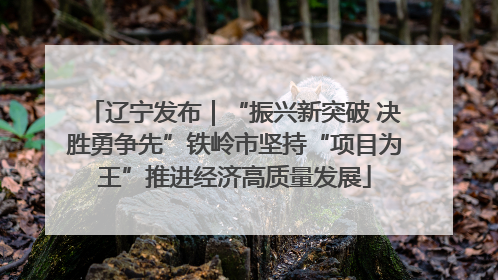 辽宁发布｜“振兴新突破 决胜勇争先”铁岭市坚持“项目为王”推进经济高质量发展