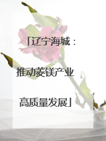 辽宁海城：推动菱镁产业高质量发展