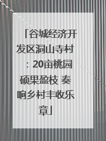 谷城经济开发区洞山寺村：20亩桃园硕果盈枝 奏响乡村丰收乐章
