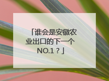谁会是安徽农业出口的下一个NO.1？