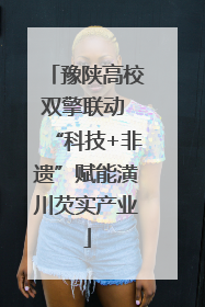 豫陕高校双擎联动 “科技+非遗”赋能潢川芡实产业