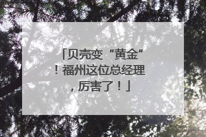贝壳变“黄金”！福州这位总经理，厉害了！