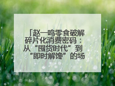 赵一鸣零食破解碎片化消费密码：从“囤货时代”到“即时解馋”的场景革新