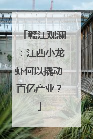 赣江观澜：江西小龙虾何以撬动百亿产业？