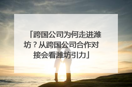 跨国公司为何走进潍坊？从跨国公司合作对接会看潍坊引力