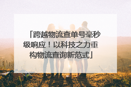 跨越物流查单号毫秒级响应！以科技之力重构物流查询新范式