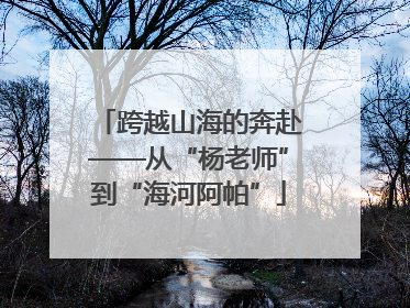 跨越山海的奔赴——从“杨老师”到“海河阿帕”